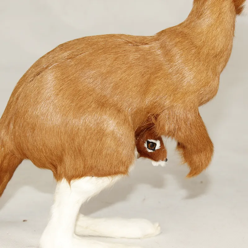 for Lifelike Kangaroo Hand Pup - огляд і ціна Kangaroo Kids Education